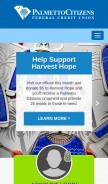 How palmettocitizens.org looks like on a mobile device such as an iPhone.