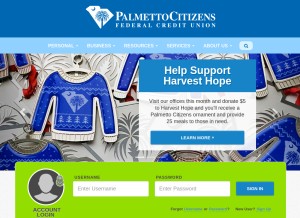 How palmettocitizens.org looks like on a tablet such as an iPad.