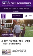 How pancan.org looks like on a mobile device such as an iPhone.