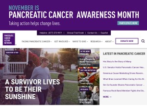 How pancan.org looks like on a tablet such as an iPad.