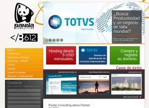 How pandacons.com looks like on a tablet such as an iPad.