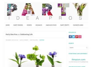 How partyideapros.com looks like on a tablet such as an iPad.