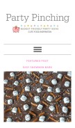 How partypinching.com looks like on a mobile device such as an iPhone.