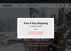 How patagonia.com looks like on a tablet such as an iPad.