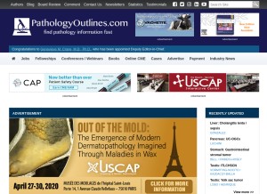 How pathologyoutlines.com looks like on a tablet such as an iPad.