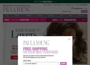 How paulayoung.com looks like on a tablet such as an iPad.