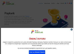 How paykartlar.com looks like on a tablet such as an iPad.