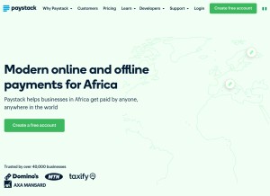 How paystack.com looks like on a tablet such as an iPad.