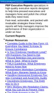 How pbp-reports.com looks like on a mobile device such as an iPhone.