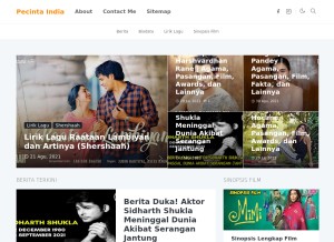 How pecinta-india.com looks like on a tablet such as an iPad.