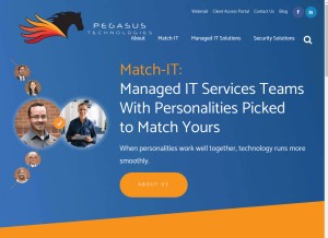 How pegtec.com looks like on a tablet such as an iPad.