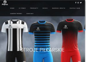 How pehasports.com looks like on a tablet such as an iPad.