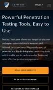 How pentest-tools.com looks like on a mobile device such as an iPhone.