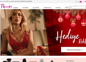 How penti.com looks like on a tablet such as an iPad.