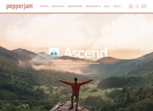 How pepperjam.com looks like on a tablet such as an iPad.