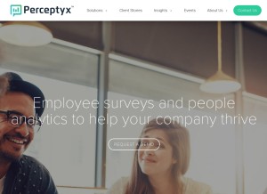 How perceptyx.com looks like on a tablet such as an iPad.