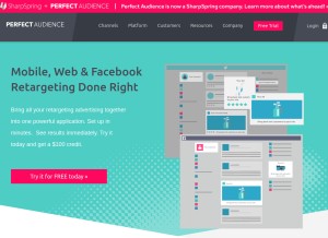 How perfectaudience.com looks like on a tablet such as an iPad.