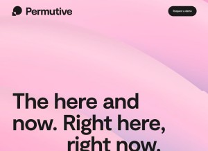 How permutive.com looks like on a tablet such as an iPad.