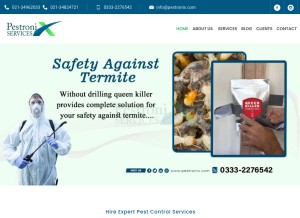 How pestronix.com looks like on a tablet such as an iPad.