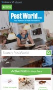 How pestworld.org looks like on a mobile device such as an iPhone.