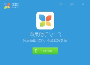 How pgzs.com looks like on a tablet such as an iPad.