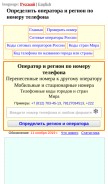 How phonenum.info looks like on a mobile device such as an iPhone.