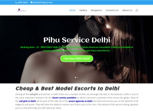 How pihuservice.com looks like on a tablet such as an iPad.