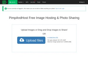 How pimpandhost.com looks like on a tablet such as an iPad.