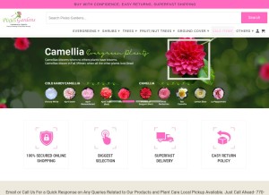How pixiesgardens.com looks like on a tablet such as an iPad.