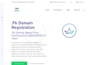 How pk-domain.com.pk looks like on a tablet such as an iPad.