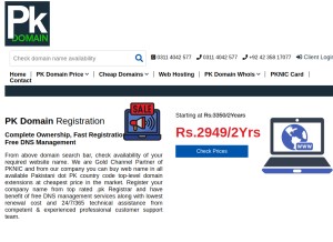 How pkdomain.com.pk looks like on a tablet such as an iPad.