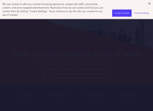 How planview.com looks like on a tablet such as an iPad.
