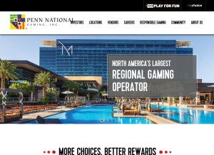 How pngaming.com looks like on a tablet such as an iPad.