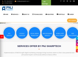 How pnjsharptech.com looks like on a tablet such as an iPad.