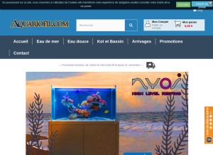 How poisson-or.com looks like on a tablet such as an iPad.