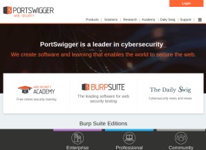 How portswigger.net looks like on a tablet such as an iPad.