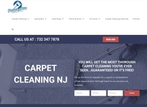 How powerprocarpetcleaning.com looks like on a tablet such as an iPad.