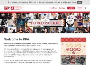 How ppa.com looks like on a tablet such as an iPad.