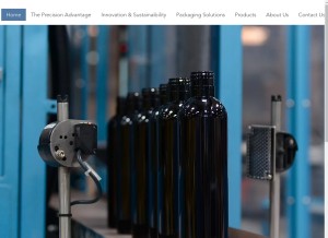 How pppc.com looks like on a tablet such as an iPad.