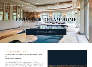 How ppreteam.com looks like on a tablet such as an iPad.