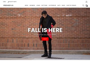 How premiervii.com looks like on a tablet such as an iPad.