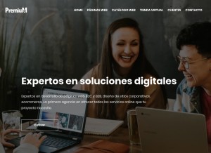 How premiumweb.cl looks like on a tablet such as an iPad.