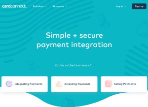 How prinpay.com looks like on a tablet such as an iPad.