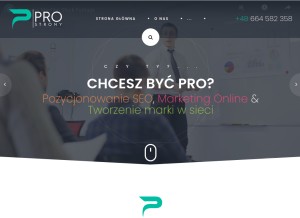 How pro-strony.pl looks like on a tablet such as an iPad.