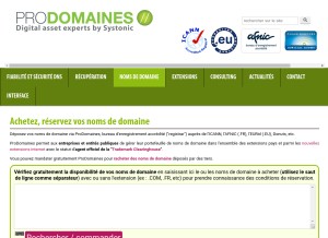 How prodomaines.com looks like on a tablet such as an iPad.