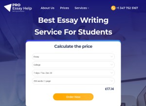 How proessayhelp.co.uk looks like on a tablet such as an iPad.