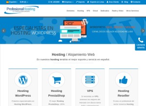 How profesionalhosting.com looks like on a tablet such as an iPad.