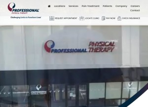 How professionalpt.com looks like on a tablet such as an iPad.