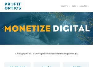 How profitoptics.com looks like on a tablet such as an iPad.