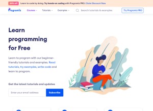 Programiz: Learn to Code for Free